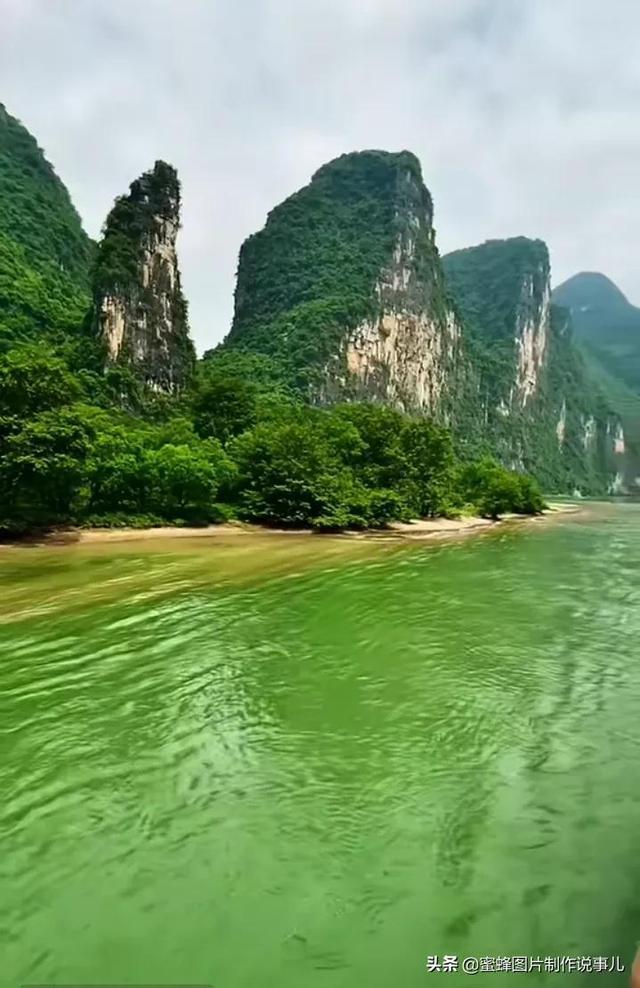 前美团高级副总裁郭庆加入京东,或将接管达达集团